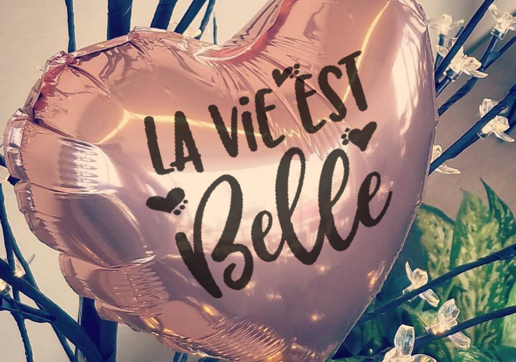 Bouquet de Ballon Blog La vie est belle