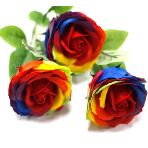 Rose de savon - multicolore
