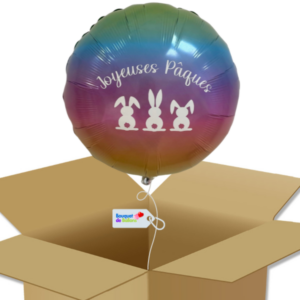 Bouquet-de-Ballons - Ballon Paques - Petits Lapins - Arc-en-ciel - Box