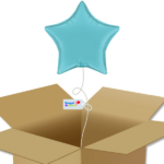Bouquet de ballons-Ballon Etoile Bleu Ciel-Box