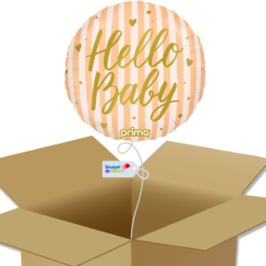 Bouquet de ballons-Hello Baby-Ballon Rond-Lignes Pêche-Box